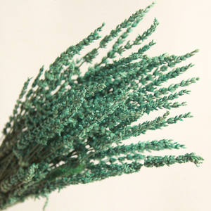 SZ04130, suministro de China, flores secas, <span class=keywords><strong>lavanda</strong></span> natural <span class=keywords><strong>preservada</strong></span>, hecha a mano, <span class=keywords><strong>lavanda</strong></span> <span class=keywords><strong>rosa</strong></span> púrpura para decoración del hogar y hotel - Product Image 2