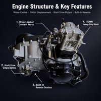 Moteur de moto refroidi par eau de 300 cm³, assemblage complet avec marche arrière pour les fabricants et assemblateurs de véhicules utilitaires