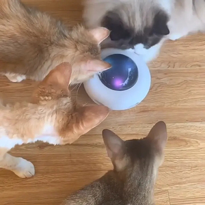 Robot de Limpieza Automático Inteligente con Forma de OVNI, Ecológico, para Recoger Pelo, Interactivo para Gatos, con Movimiento Aleatorio - Product Image 5