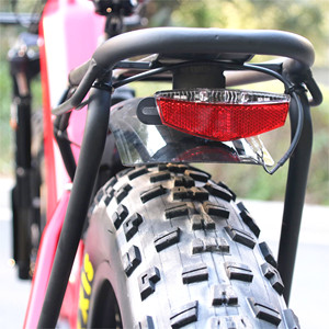 Vélo électrique <span class=keywords><strong>ROHLOFF</strong></span> à 14 vitesses, <span class=keywords><strong>moyeu</strong></span> IGH, 1000W, cadre bas, batterie 48V 30Ah, moteur central, vélo électrique à 11 vitesses, transmission par courroie - Product Image 6