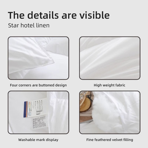 Chất lượng cao tùy chỉnh không gây dị ứng cao cấp bộ đồ giường khách sạn Bộ sưu tập xuống thay thế Comforter cho khách sạn Sao 220x240cm - Product Image 5