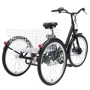 Triciclo de Cuerpo Abierto de 24 Pulgadas para Entrega de Alimentos Familiar con Motor de 250W, Batería de Litio de 36V 13Ah, Neumático Grueso de 20 Pulgadas, Bicicleta Eléctrica en Oferta - Product Image 2