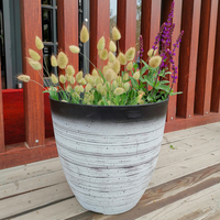 Décor exquis en forme de coquille, dégradé de couleur, Pots de fleurs d'intérieur en plastique pour plantes, vente en gros, offre spéciale