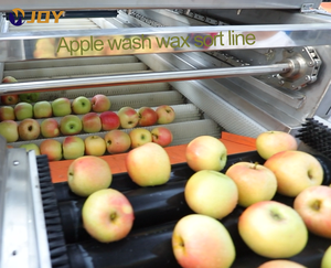 Máquina de clasificación automática de cinta transportadora comercial para clasificación de frutas y verduras Análisis de clasificación eficiente de verduras y frutas - Product Image 3