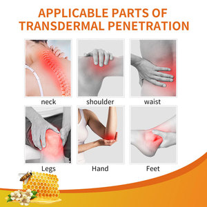 Nueva Ungüento Analgésico Wudu para Artritis y Dolor Articular, Ungüento para Aliviar el Dolor <span class=keywords><strong>de</strong></span> Espalda, Yeso para el Cuerpo, Dolor <span class=keywords><strong>de</strong></span> Cintura y Cuello, Ortopédico - Product Image 2