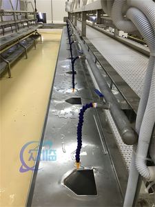 Cinta transportadora de procesamiento de peces, línea de producción de pescado, descalado de peces, skulne - Product Image 6