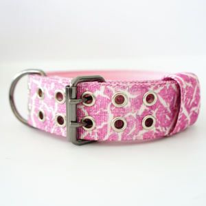 Collar <span class=keywords><strong>de</strong></span> perro mascota acolchado <span class=keywords><strong>de</strong></span> neopreno <span class=keywords><strong>de</strong></span> color resistente con hardware <span class=keywords><strong>de</strong></span> metal inoxidable - Product Image 5