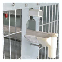 Nouveau système de cages en batterie de type H pour poulets de chair et poulettes pondeuses, poulailler automatique pour poussins d'un jour, galvanisé à chaud, 15-20