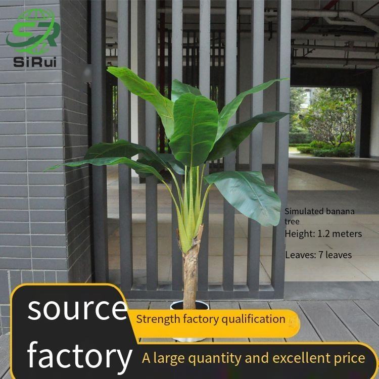 120 cm / 3,9 pi sans pot