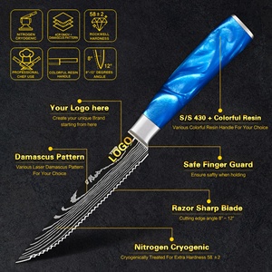 Saffierblauw Hars Handvat 5 Inch 67 Lagen Vg10 Servies Bestek Damascus Staal Gekarteld Mes Steak Mes Met Geschenkdoos - Product Image 2