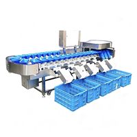 Industriële automatische weegsorteermachine voor uien, aardappelen, vis en fruit
