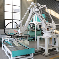 Línea de Producción de Máquinas de Paletización y Empaquetado con Brazo Robótico Industrial, Diseño Programable, Adaptable al Entorno de Procesamiento
