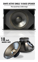 Subwoofer Activo Profesional Sub Dante de 18 Pulgadas, Sistema de Sonido de Alta Potencia, Equipo de Audio Profesional para DJ con Software