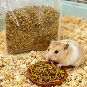 Gusanos Soldados Negros Secos al por Mayor para la Alimentación de Todo Tipo de Animales - Product Image 1