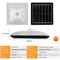 Lampadaire de jardin solaire LED haute luminosité 60W IP65 3000K 6000K ABS 60W 160lm/w
