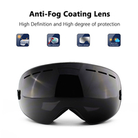 Lunettes de snowboard personnalisées disponibles Lunettes à revêtement miroir UV400 Lunettes de ski d'extérieur pour hommes