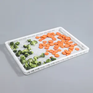 Food Grade Plastic Storage Tray With Grid Large Mesh Shallow Plastic Tray