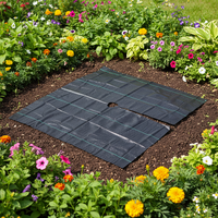 Toile de paillage perforée en PP, motif fraise, pré-découpée avec trous de plantation et espacement, pour aménagement paysager et culture de légumes