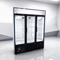Réfrigérateur vertical pour boissons avec porte en verre, présentoir de boissons, porte en verre, réfrigérateur Coca-Cola