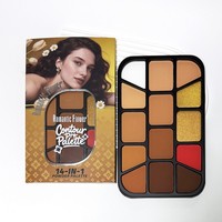 Palette multifonction longue tenue : Poudre de visage, Contour, Paillettes, Scintillant, Illuminateur, Blush pour maquillage de fête