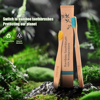 Brosse à dents OEM écologique avec poils souples, logo personnalisé acceptable, faible MOQ, prix compétitif, qualité supérieure pour usage hôtelier