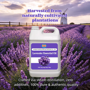<span class=keywords><strong>Huile</strong></span> <span class=keywords><strong>Essentielle</strong></span> de Lavande 100% Pure en Gros – Prix Avantageux pour Tous Types de Peau <span class=keywords><strong>et</strong></span> Soins Capillaires - Product Image 3