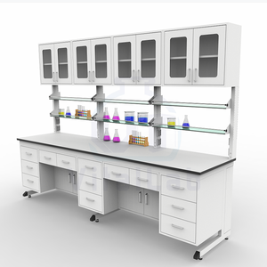 שולחן מעבדה איכותי ועמיד בפני קורוזיה, שולחן מעבדה הניתן להתאמה אישית למעבדות כימיות/ביולוגיות, בעל תקן ISO ו-CE - Product Image 2