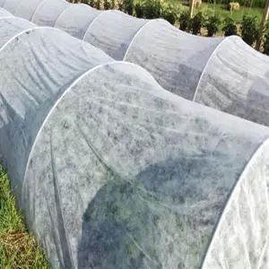 100% Pp Nonwoven Fabric Disposables Agriculture Nonwoven Fabric Cover Disposable spunbond Nonwoven