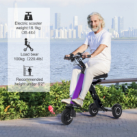 Trottinette électrique pliable TopMate ES33 en alliage d'aluminium léger à 3 roues, batterie 36V 7.8AH, fonction marche arrière, étanche, avec clé