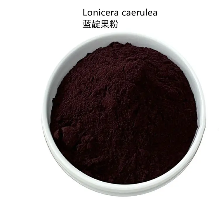 Natural Haskap Fruit Berry Powder Lonicera Caerulea Powder