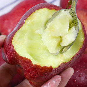 2024 nouvelle <span class=keywords><strong>saison</strong></span> pomme Fuji biologique fraîche pomme Yantai rouge biologique pommes dorées fruits frais - Product Image 6