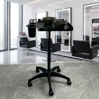 Chariot de service professionnel pour salon de coiffure avec compartiments pour outils et bols de mélange, chariot mobile pour la coiffure