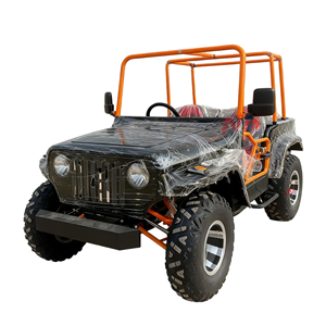 Robust Willys Style Transport Buggy, 250cc 4-Stroke Off-Road Vehicle for Cargo Delivery in Nature Reserves - Product Image 6