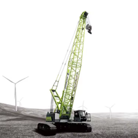 Grúa Móvil Usada Sany Kobelco Hitachi Zoomlion, Grúa sobre Orugas de 100t, 130 Toneladas, Grúa Torre de 30, 25, 50, 55, 70 Toneladas