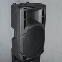 R15 Haut-parleur PA passif professionnel de 15 pouces 500W en plastique pour spectacles en plein air et hôtels