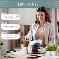 Ensemble de trois jardinières de couleur blanche avec plateau pour plantes d'intérieur