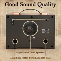 Radio AM FM sans fil avec flamme LED/TF/lecture USB/chargement USB-C, radios à transistors portables, radio AM FM