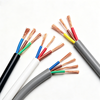 Cable Eléctrico Industrial de Alta Calidad RVV con Núcleo de Cobre Trenzado, Flexible, de Bajo Voltaje 300/500V, con Revestimiento de PVC para Uso Doméstico