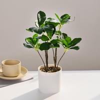Plante artificielle en pot en forme de boule, en plastique, feuilles vertes, fleurs, légère, écologique, décoration de bureau pour l'intérieur