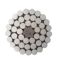 Aluminiumlegierungskabel 34,4 mm² 54,6 mm² 70 mm² AAC AAAC ACSR Aluminiumleiter Legierungs-Freileiter Kundenspezifische Anpassung