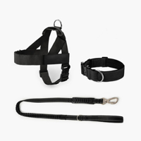 Ensemble Harnais, Collier et Laisse pour Chien Robuste Anti-Traction Réglable Réfléchissant Tactique en Nylon pour Grands et Moyens Chiens OEM
