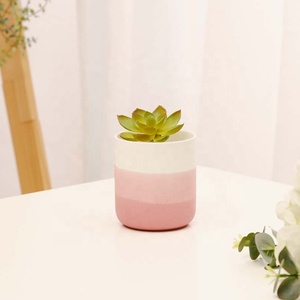 YBH moderno interno ceramica blu e bianco vaso di <span class=keywords><strong>fiori</strong></span> opaco finitura succulenta pentola <span class=keywords><strong>per</strong></span> la casa e Hotel <span class=keywords><strong>da</strong></span> <span class=keywords><strong>tavolo</strong></span> <span class=keywords><strong>per</strong></span> la decorazione delle piante - Product Image 5