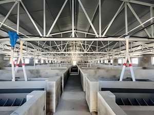 Low-cost Modern Prefabricated Barn House, Cow Shed, Cattle Farm Building Steel Shed - Product Image 4