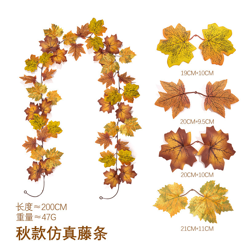 Maple vines - 260 - 3