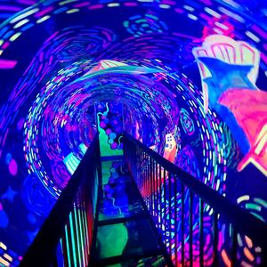 Juego de <span class=keywords><strong>Laberinto</strong></span> <span class=keywords><strong>Mágico</strong></span> para Parque Infantil Interior Equipo de Parque de Diversiones <span class=keywords><strong>Laberinto</strong></span> de Espejos en Venta - Product Image 6