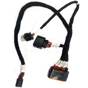 Procesamiento Personalizado del Arnés de Transmisión de Señal DJ7021 para el Control de Puertas de Automóviles - Product Image 2