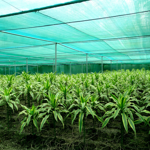 Redes de plástico monofilamento moldeadas de fabricación india FORTUNE AGRO NET Modelo NA - Product Image 1