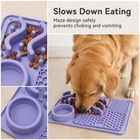 Nouvelle gamelle multifonctionnelle portable en silicone pour animaux de compagnie, gamelle pour chien et chat, étanche, pliable, pour une alimentation lente et solide