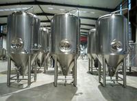 Beer Brewing Equipment 1000L Conical Fermenter Stainless Steel Unitank