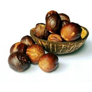 spices dried natural nutmeg mace wholesale 100% nutmeg and mace